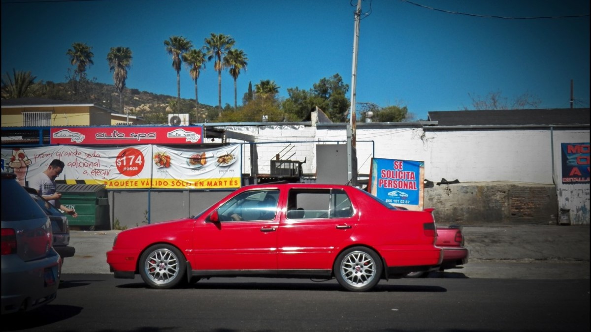 Volkswagen Jetta #VR6Parrot